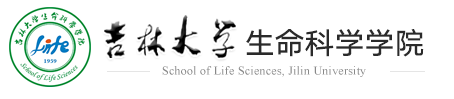 w88优德